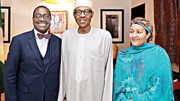 Nigeria, 41 others to conserve 30 million hectares of bamboo